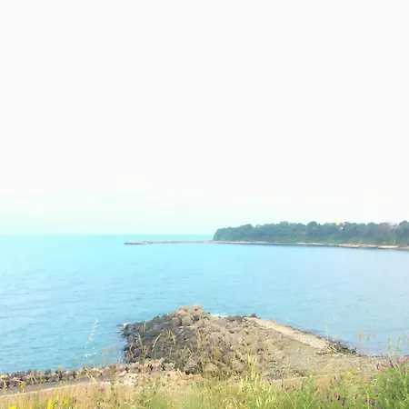 Отель Jasmin Village